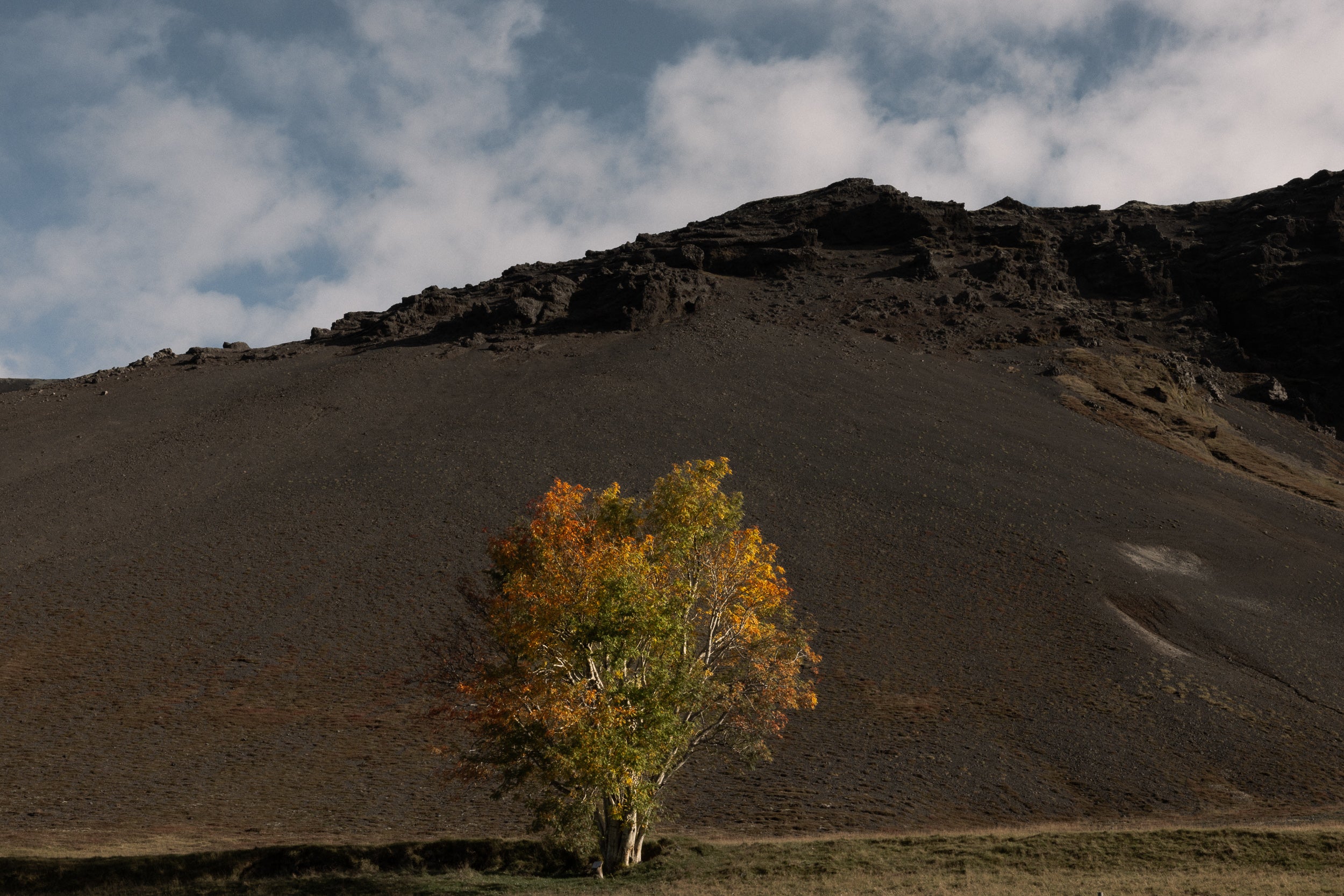  Iceland Copyright Opera Campi