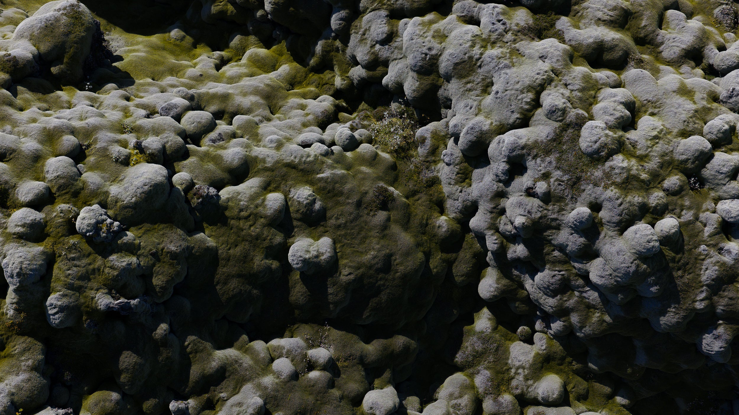  Iceland Copyright Opera Campi